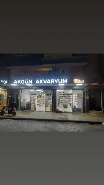 Doğa akvaryum pet market foto 2