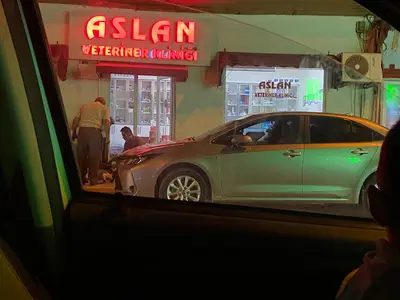 Barış Veteriner Kliniği
