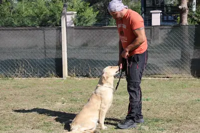 Deniz Pet Club fotoğrafı