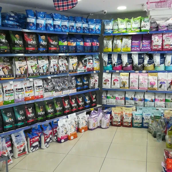 Pet Store Istanbul foto 2