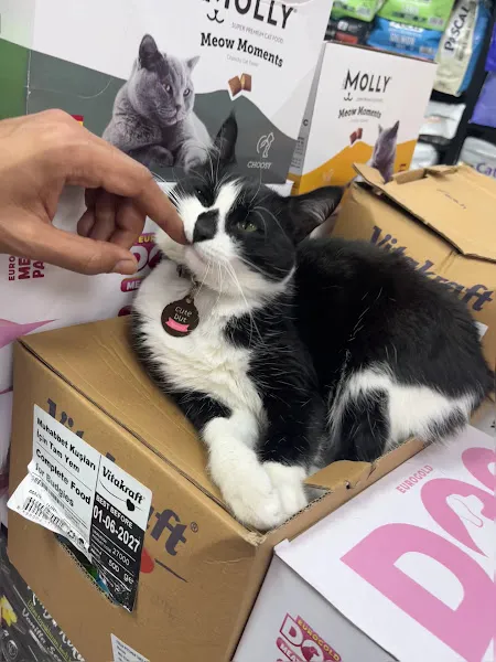 Ferah Pet Shop foto 2