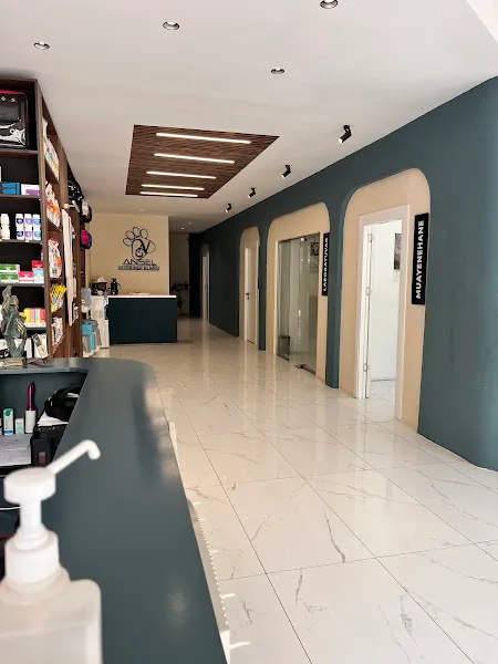 Ansel Veteriner Kliniği foto 1