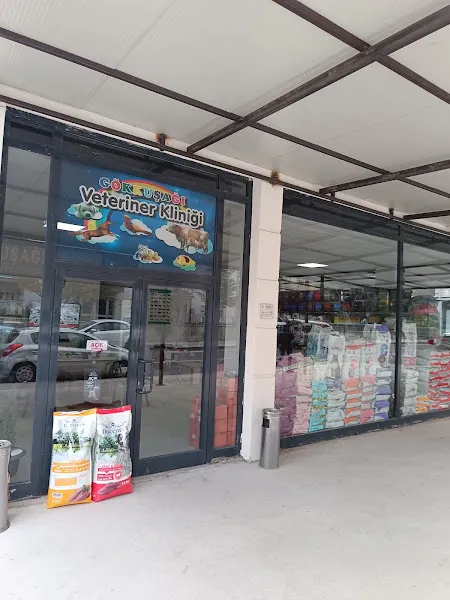 Gökkuşağı Veteriner Kliniği foto 1