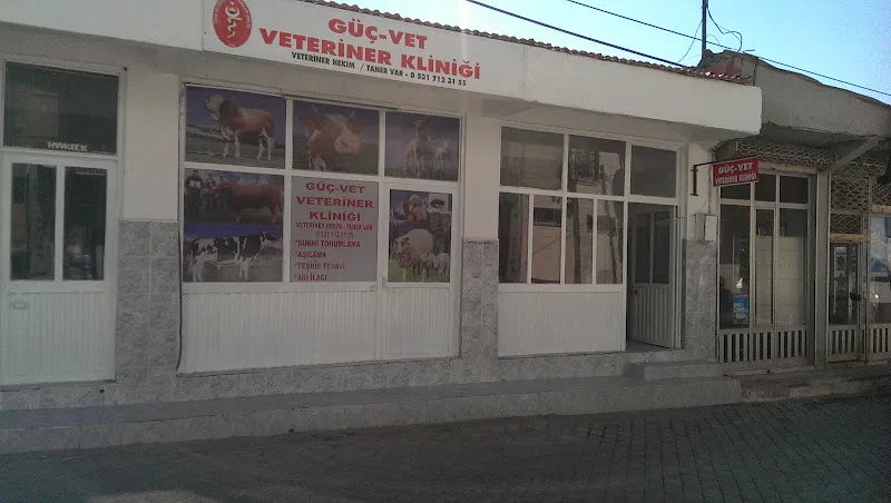 Kaan Veteriner Kliniği foto 2