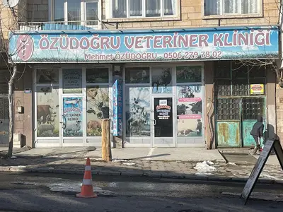 özüdoğru veteriner kliniği