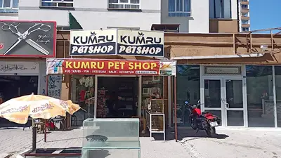 Kumru petshop