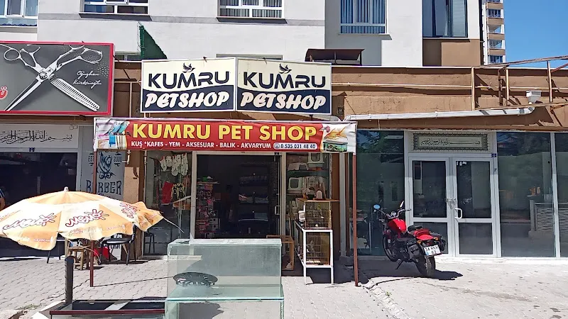 Kumru petshop foto 1