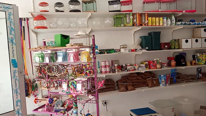 Kumru petshop foto 2