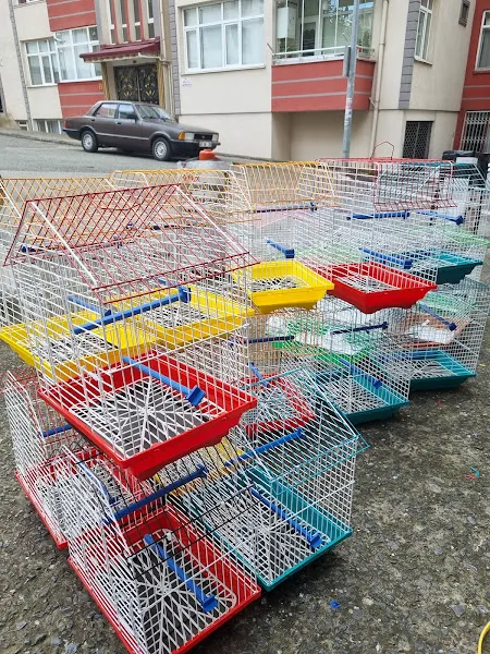 Demirbaş Pet Shop ve Akvaryum foto 2