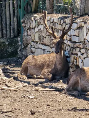 Eğirdir hayvanat bahçesi