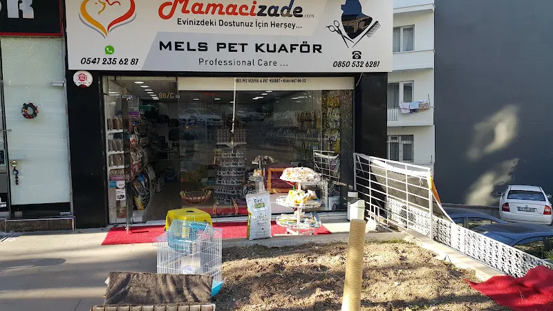Mamacızade Ayrancı foto 1