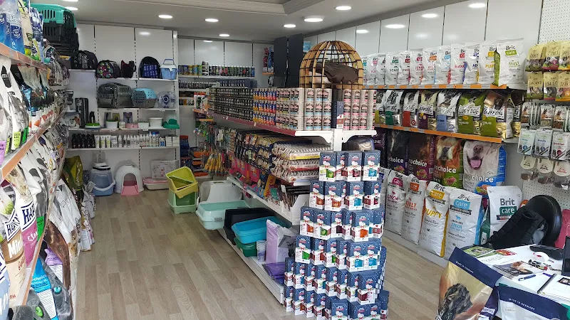 Mamacızade Ayrancı foto 2