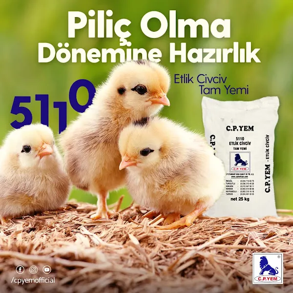 Yem Pet - Cp Kanatlı Yem Satış Noktası foto 2