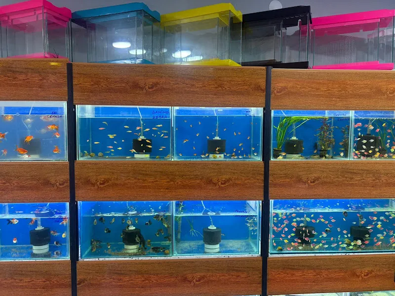 Ocean Petshop Turgutlu foto 2