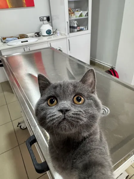 Nevşehir Enes Veteriner Kliniği foto 2