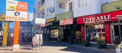 ASLI PETSHOP Mezitli Babil
