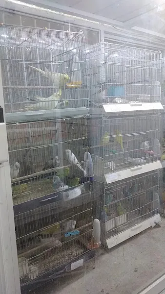 ASLI PETSHOP Mezitli Babil foto 2