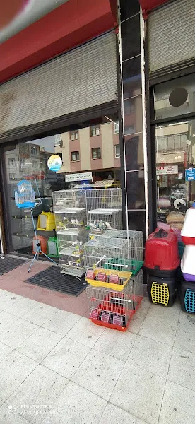 Alperen Petshop foto 2