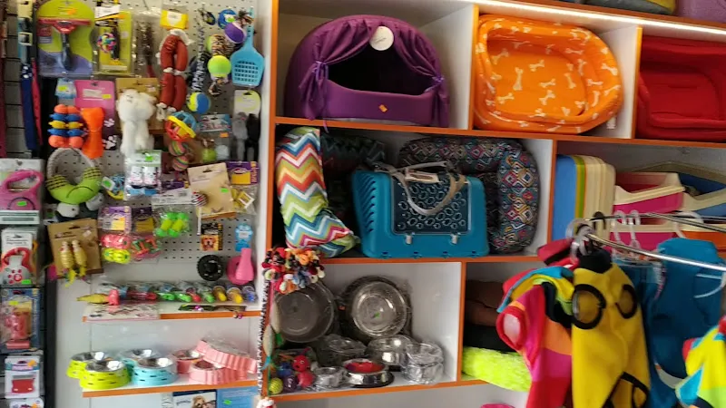 Bykuş Petshop foto 2