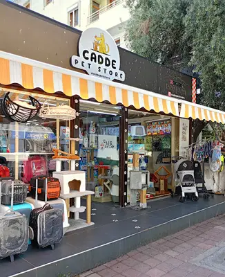 Cadde pet store fotoğrafı