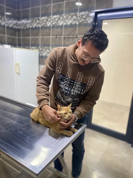 Talhavet Veteriner Kliniği foto 2