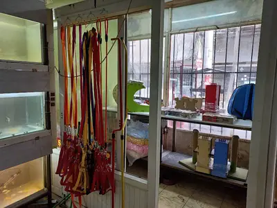 Şammut Petshop