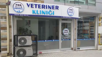 For Animal Veteriner Kliniği