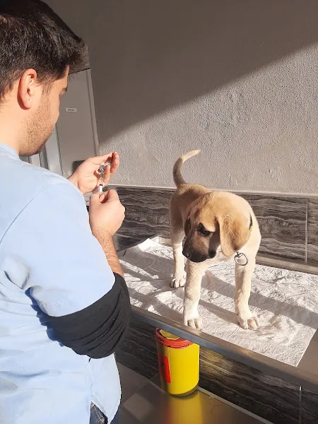 Barlas Veteriner Kliniği foto 2