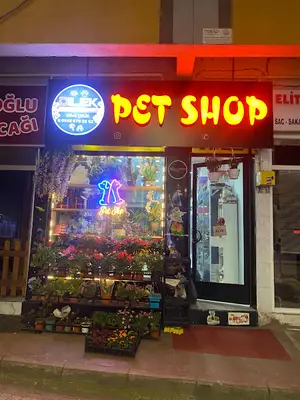 Bulancak Çiçekçi - Dilek Çiçekçilik ve Petshop