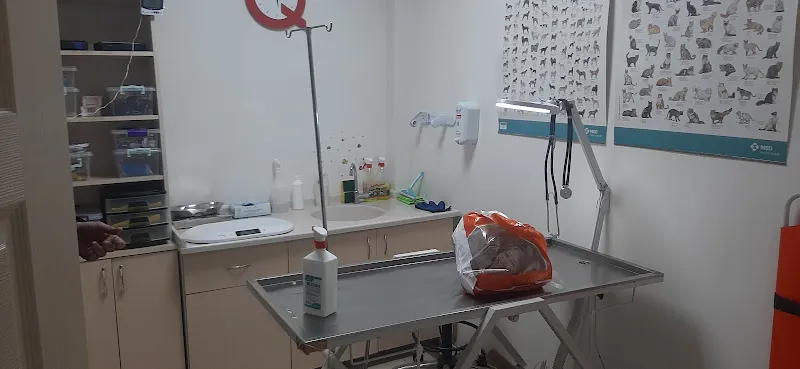 hayat veteriner kliniği foto 2