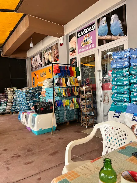 Alaşehir Çağdaş Petshop foto 1