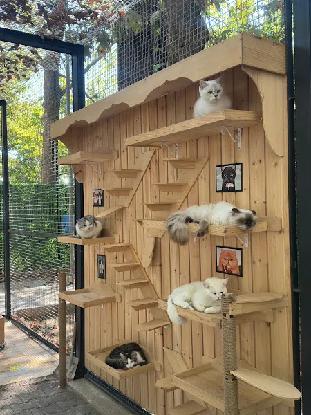 Yıldırım Belediyesi Sahiplendirme Merkezi foto 2