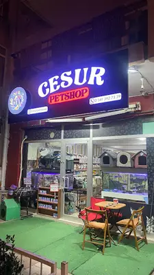 Cesur Petshop Store