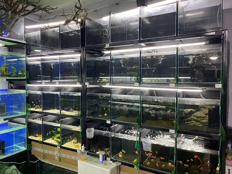 Cesur Petshop Store foto 2
