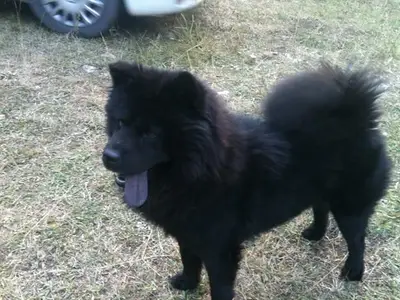 Ankara Veteriner Kliniği fotoğrafı