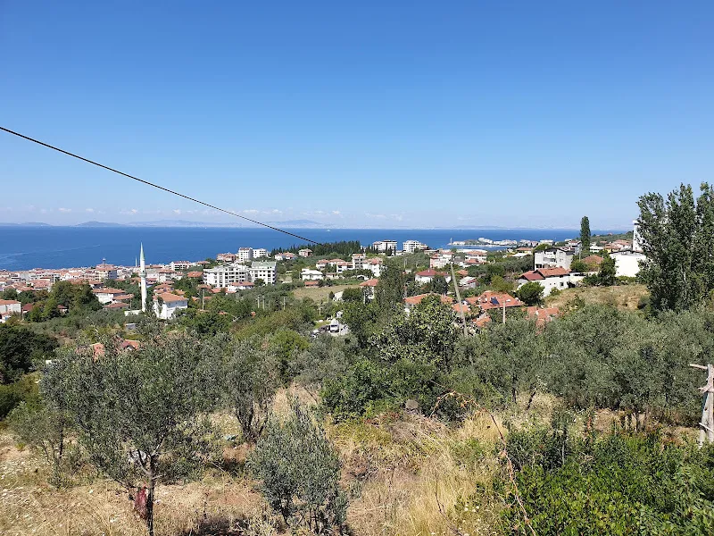 Çınarcık Sokak Hayvanları Rehabilitasyon Merkezi foto 1