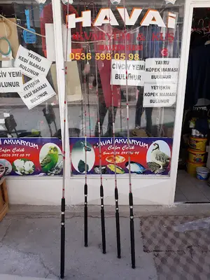 HAVAİ PETSHOP AKVARYUM VE KUŞ TUM MALZEMELERI