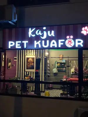 Kaju pet kuaför fotoğrafı