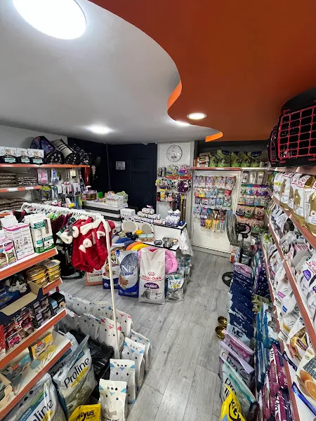 Lumi pet market foto 2