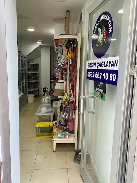 Kazan Akvaryum Petsop foto 2