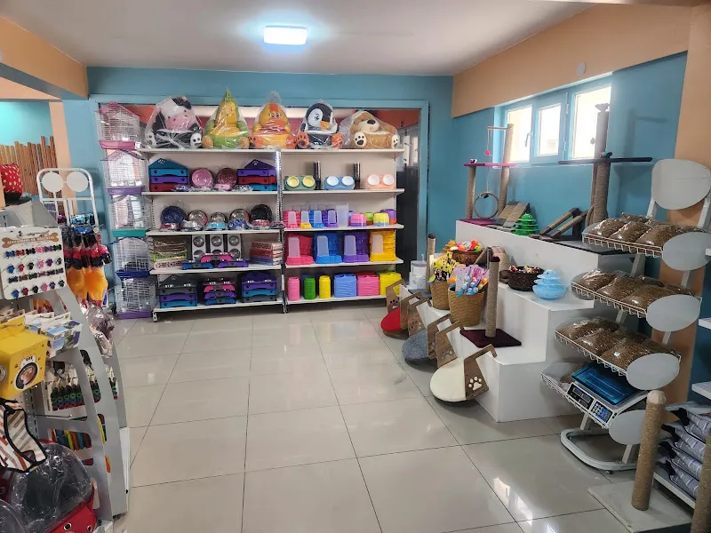 Dios Petshop foto 2