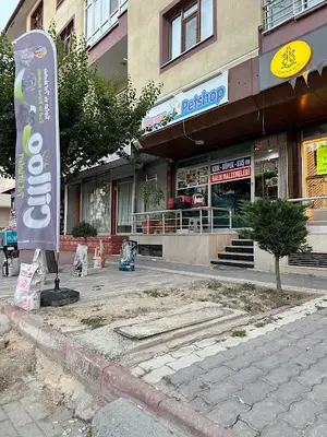 Kayra Petshop