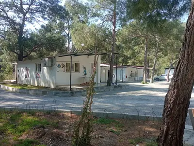 Dalaman belediye hayvan barınağı