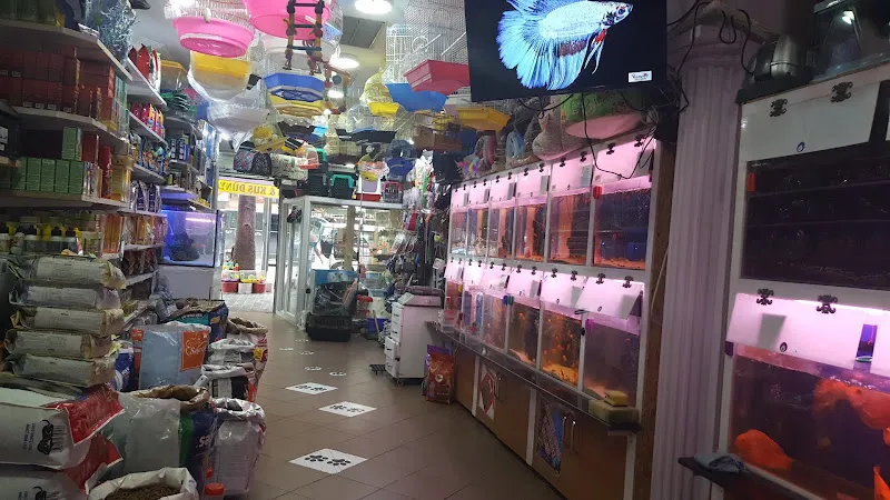 SAMPET AKVARYUM foto 1