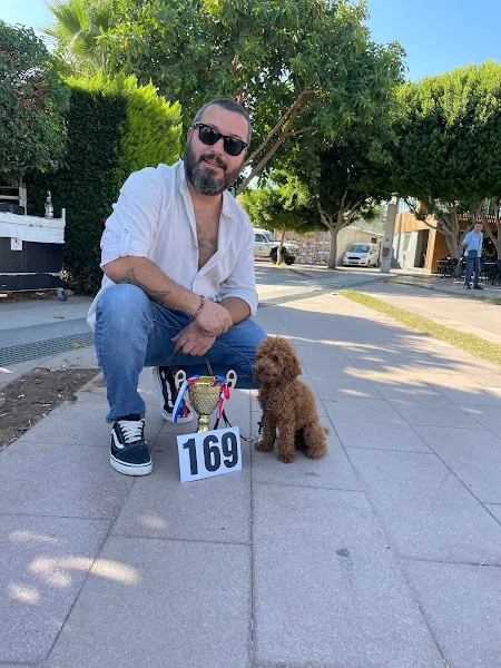 ANTALYA KÖPEK EĞİTMENİ OZAN ŞAHİN foto 2