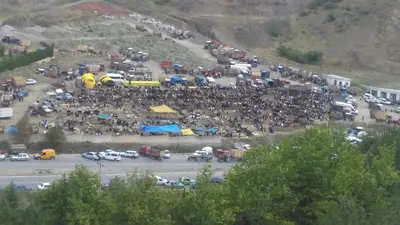 İskilip Belediyesi Hayvan Pazarı