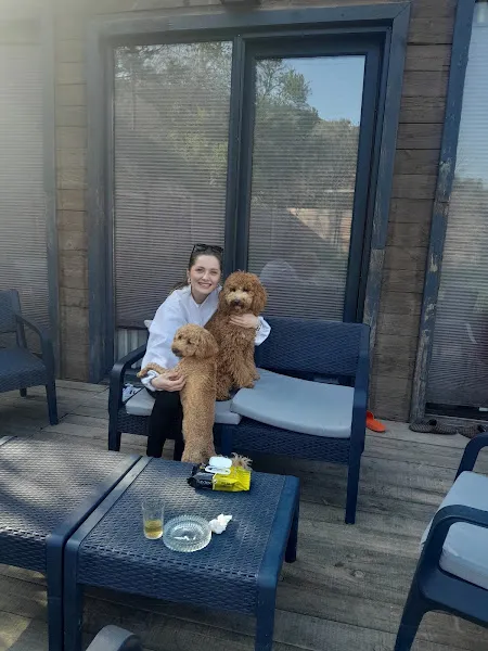Bahçeşehir Köpek Eğitim Merkezi foto 2