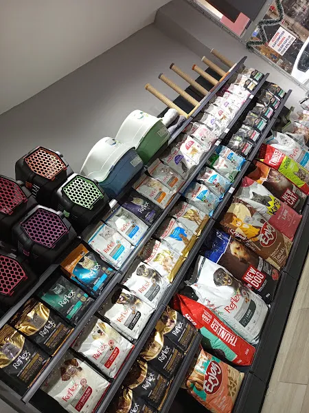 Gümüş Pati Petshop foto 2