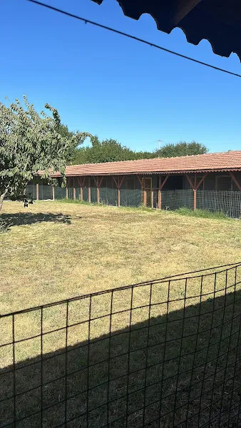 Köpek Eğitim Merkezi foto 1