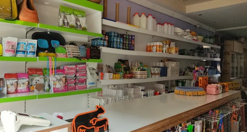 Beyvet Veteriner Kliniği foto 1